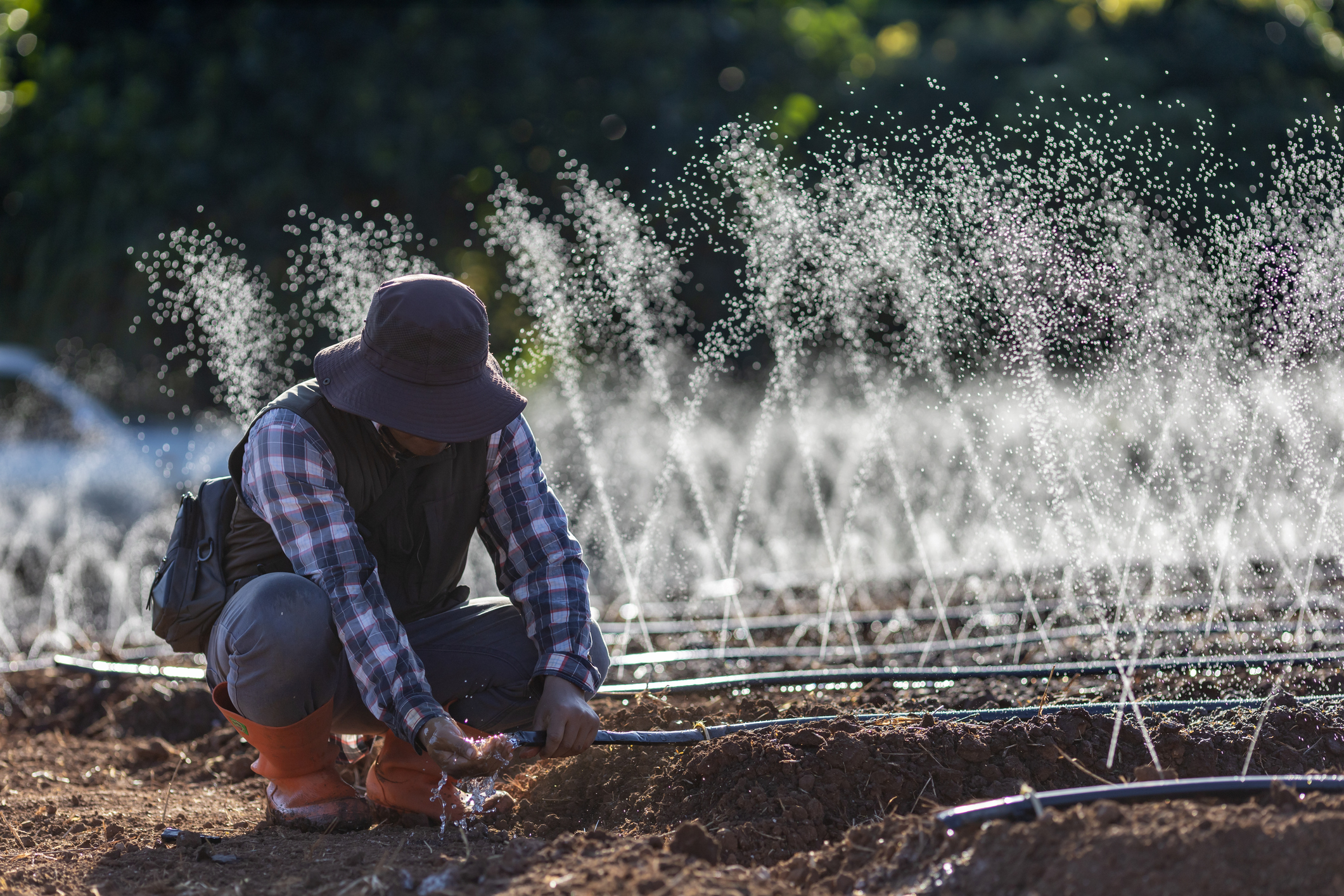 A man kneels to fix a hose in an irrigation watering system on a farm