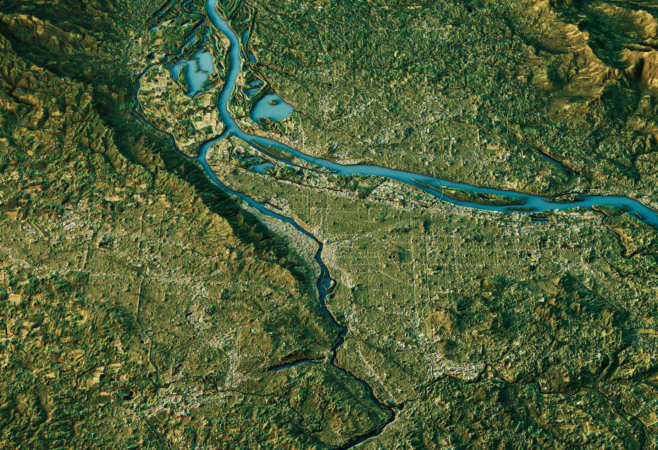 Overhead 3D landscape of trees and rivers.