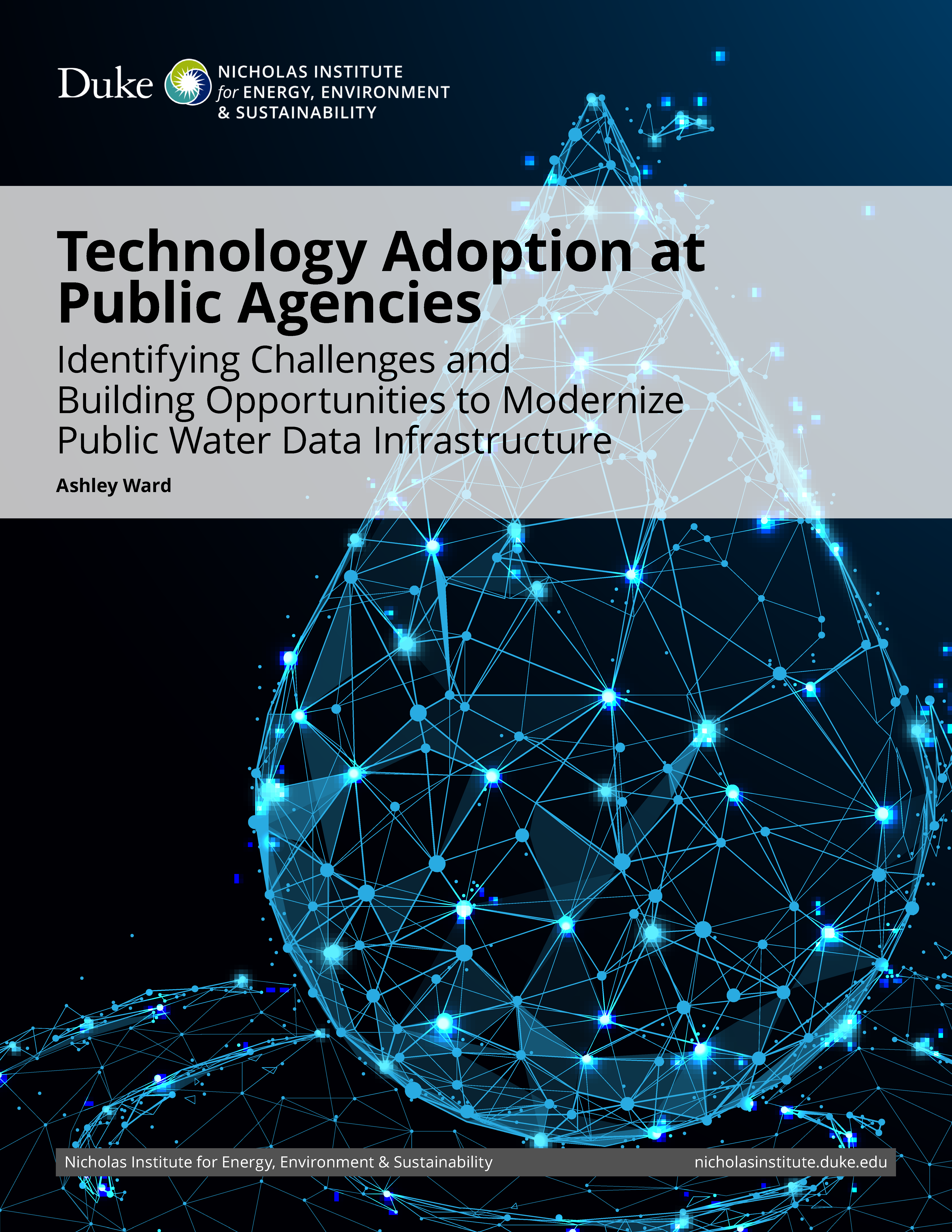 Technology Adoption at Public Agencies: Identifying Challenges and Building Opportunities to Modernize Public Water Data Infrastructure