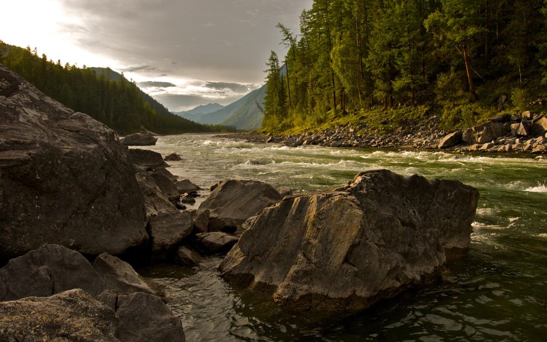 The Pacific Northwest Streamflow Data Landscape